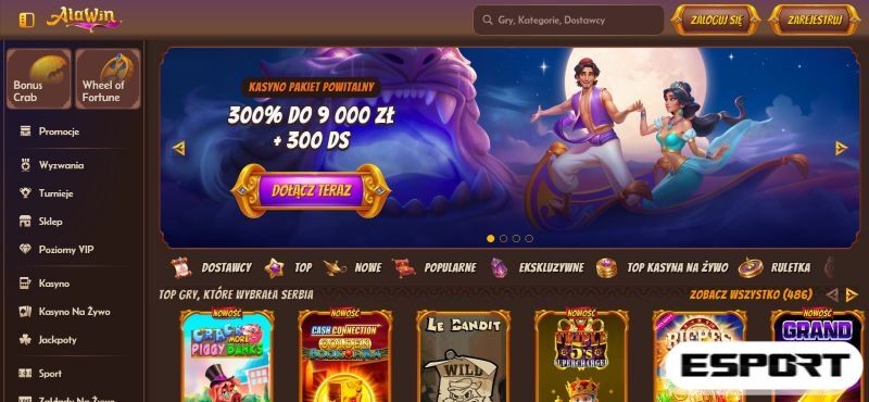 BetKing Screenshot